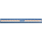 "Basketball Ruler 12""-Blue"