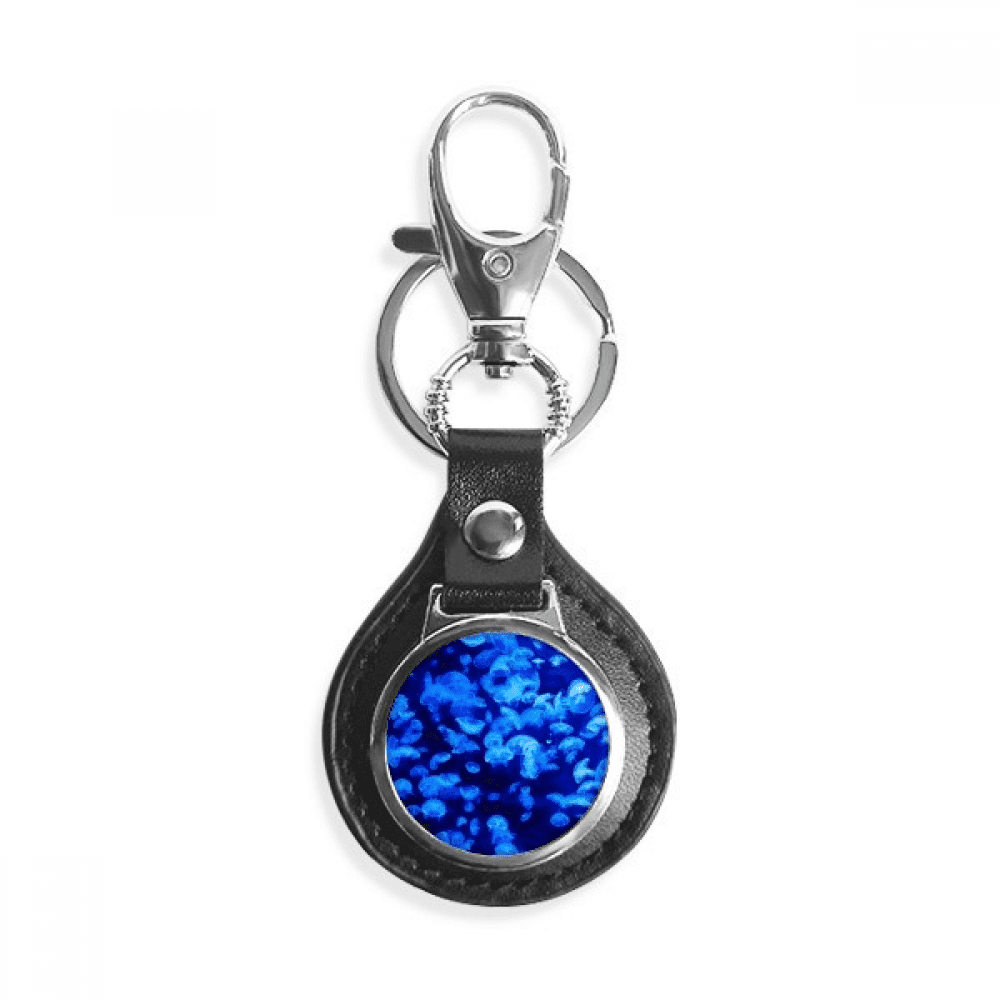 Blue Science Nature Jellyfish Ocean Picture Key Link Chain Ring Keyholder Finder Hook Metal