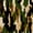 Khaki Olive Black, variant on Castle Fairy Abstract Brush Camo Twin Quilt Set 2 Pieces,Watercolor Irregular Patch Twin Coverlet Set,Sage Mint Black,1 Bedspread and 1 Pillowcase