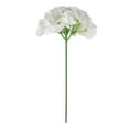 thumbnail image 6 of Simulation Silk Hydrangea Flower Head Color Of White , Hydrangea Heads Artificial Flowers Heads With Stems For Home Wedding Decor Pack Of 10, 6 of 7