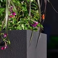 thumbnail image 5 of PolyStone Kensington Tall Modern Outdoor/Indoor Column Planter, 16” L x 16" W x 36" H, Lightweight, Heavy Duty, Weather Resistant, Polymer Finish, Commercial and Residential - Black, 5 of 5