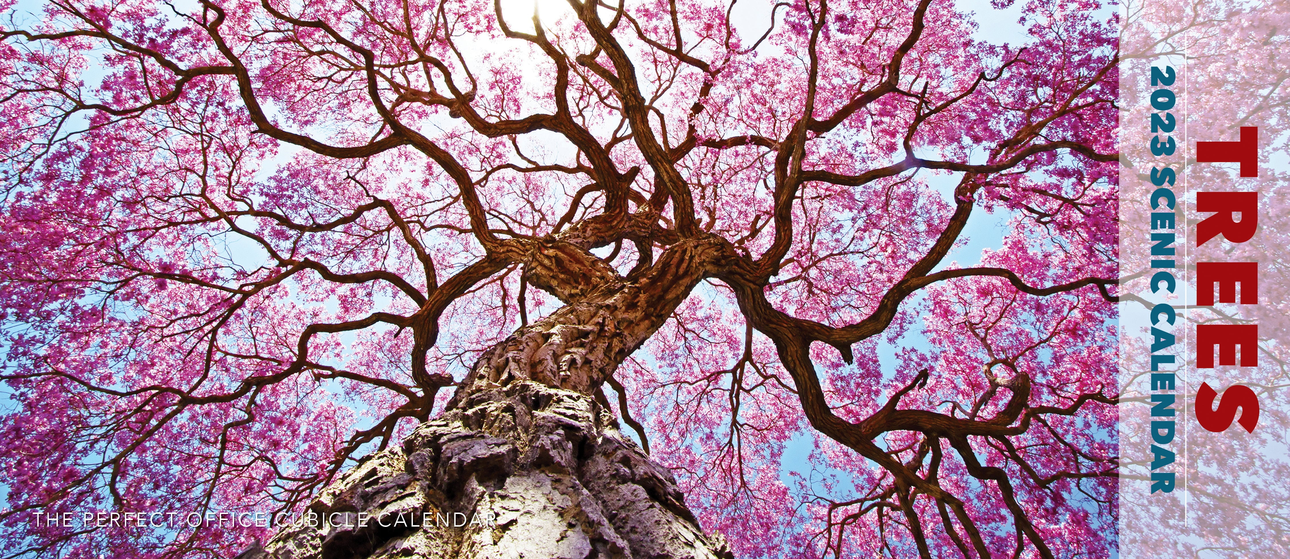 Trees 2023 Panoramic Wall Calendar