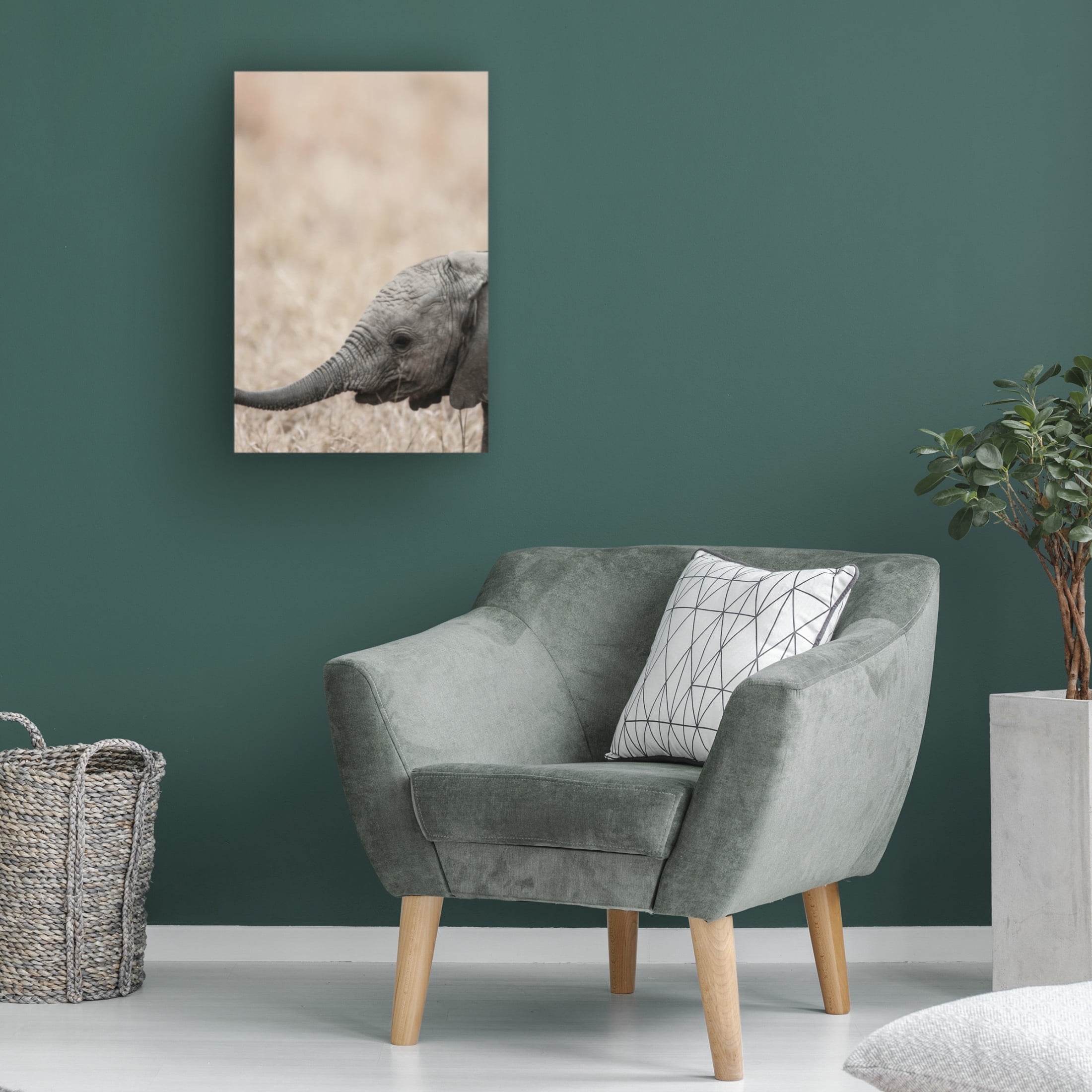 Trademark Fine Art Shot by Clint Jellybaby Canvas Wall Art