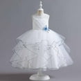 thumbnail image 2 of Diufon Puffy Princess Dress for 5-14 Years Girl Lace Mesh Layered Rompers Skirt Birthday Middle-Age Dresses (11-12 Years, White), 2 of 9