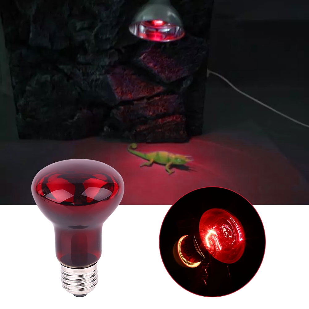 reptile-light-reptile-heat-lamp-for-reptiles-reptile-lamp-light-digital