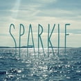 thumbnail image 3 of Gardner, Sarah 20x20 Black Modern Framed Museum Art Print Titled - Sparkle In The Ocean, 3 of 5