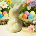thumbnail image 5 of Lwzlh Mini Easter Fluffy Bunny Decor, Easter Spring Decor, Spring Table Centerpiece, Indoor Centerpiece, Tabletop Home Kitchen Shelf Decor, Fluffy Bunny, Family Party Decor,Pink & Green,2PCS, 5 of 8