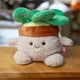 thumbnail image 3 of Bumbumz Grande 7.5"" Suculento Stu Homebumz Peluche - Licencia oficial - Juguete de peluche suave coleccionable - Regalo para niños y niñas - 7.5 pulgadas, 3 of 5