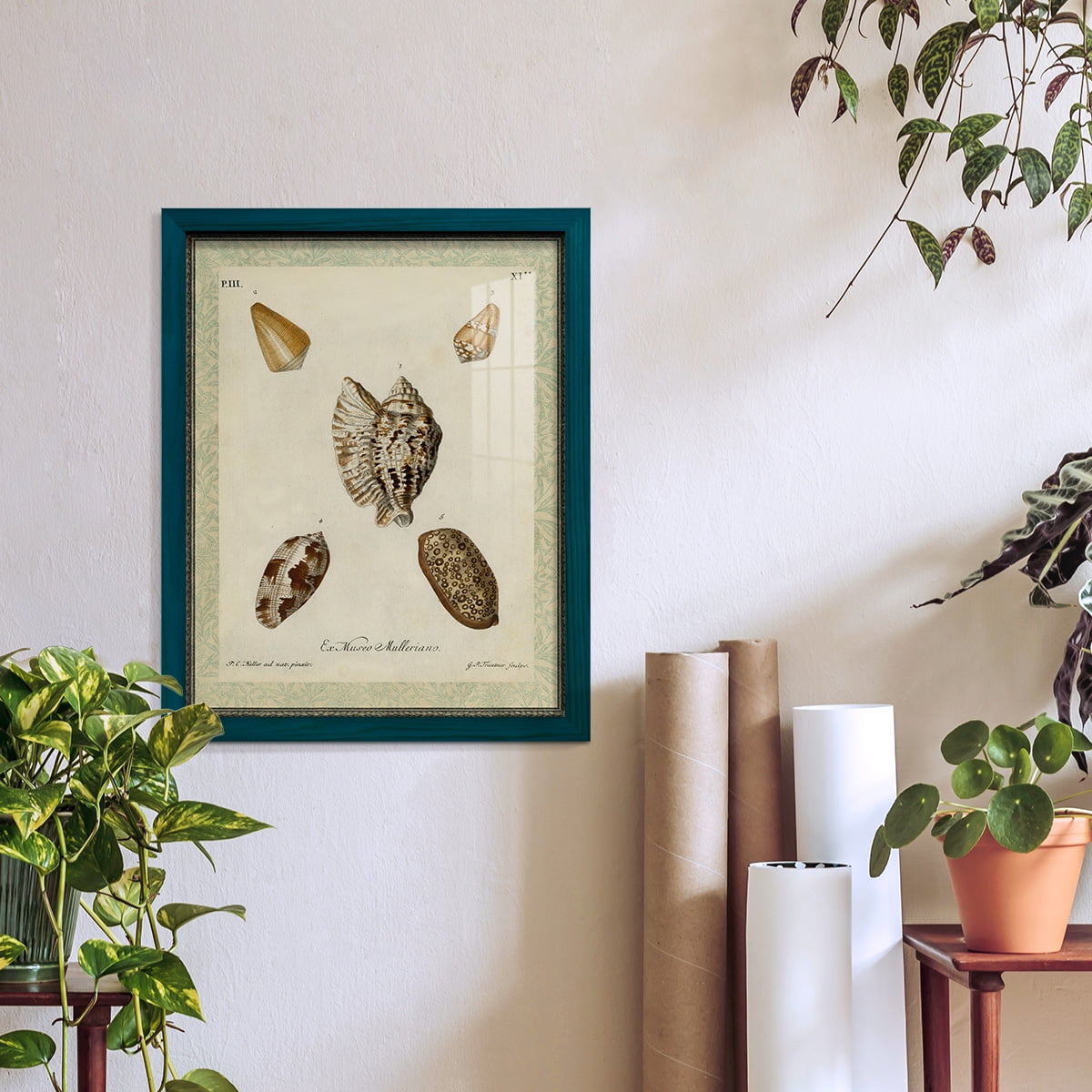 Bookplate Shells II - Framed Print w/glass - Ocean Blue