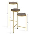 thumbnail image 5 of Kate and Laurel Fields Tri-Level Metal Plant Stand, Walnut Brown and Gold, Decorative Hinged Tray Stand Display, 5 of 6