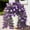 Purple, variant on AURIGATE Artificial Petunia Hanging Vine Plastic Gradient Trumpet Flowers with Eucalyptus for Home Garden Balcony Decor