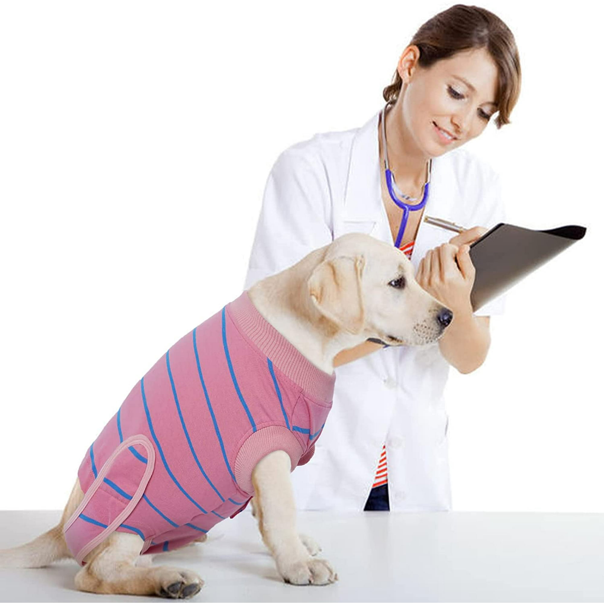 Dog bodysuit after surgery hotsell