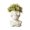 D, variant on Orangide Skull Planters Ceramic White Halloween Tabletop Decor for Plant Plants Home Office Desk Shelf Display Living Room
