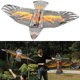 thumbnail image 5 of Cometa de águila de 1,6 m de una sola líneanovedadcometas de animalesjuguetes para niños (amarillo) Ndcxsfigh Nuevos Originales, 5 of 6