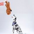 thumbnail image 4 of Juguetes de peluche interior con forma de animal peludo con forma de diente juguetes de Acción de gracias vacaciones de cumpleaños regalos encantadores artículos de regalo tipo 2 tholdsy PT000665-02, 4 of 7