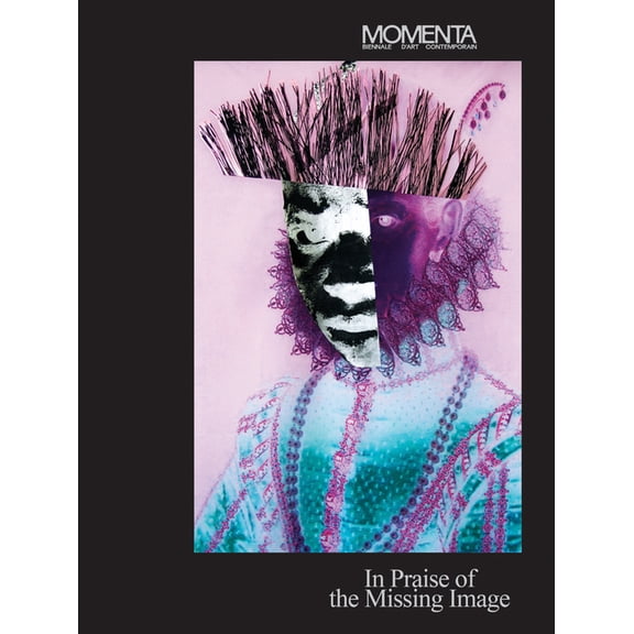 Momenta: In Praise of the Missing Image, (Hardcover)