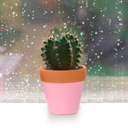SOPOTUTU Modern Ceramic Planter for Small Ferns and Succulent Storage