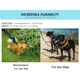 thumbnail image 2 of Correa Manos Libres Para Perro, Correa Doble Para Perro,..., 2 of 7