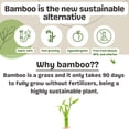 thumbnail image 2 of Bamboo Toilet Paper - Ultra Soft & Strong 3-Ply Bath Tissue, 400 Sheets Per Roll, Hypoallergenic & Septic Safe, Mega Rolls, Pack of 24, 2 of 6