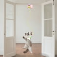 thumbnail image 2 of Fufafayo under $5 Cat Interactive Toy, Electric Hanging Toy, Pet Entertainment Device, Smart Play Accessory, Feline Exercise Toy, Automated Pet Toy, Indoor Cat Entertainment, 2 of 5