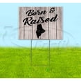 thumbnail image 1 of Born & Raised Maine (18" x 24") Yard Sign, Includes Metal Step Stake, 1 of 6