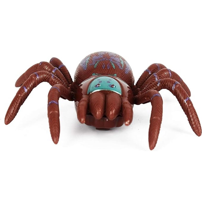 Pendientes De Araña / Joyas De Araña / Regalo De Araña