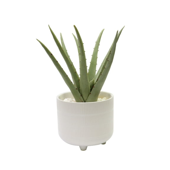 Nature's Mark 10.75”H Artificial Aloe Plant in White Ceramic Pot