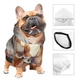 thumbnail image 3 of Balery Romantic Flower Fox Sudadera con Capucha para Perros Pequeños – Ropa para Mascotas, Disfraz para Perros y Gatos, Ideal para Fiestas y Cosplay-Small, 3 of 7