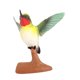 thumbnail image 5 of Figura de colibrí de simulación, estatua educativa para regalo de cumpleaños o jardín. 3241, 5 of 9
