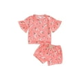 thumbnail image 2 of Musuos Toddler Girls Summer Outfit 6M- 4T Floral Print Short Sleeve T-Shirt and Elastic Shorts Set Cute Summer 2 Piece Clothes, 2 of 9