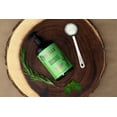 thumbnail image 5 of Mielle Rosemary Mint Strengthening Shampoo, Paraben-Free, Sulfate-Free, 12 oz, 5 of 10