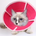 thumbnail image 3 of Soft Cat Recovery Collar, Cat Cone Collar, Nonwoven Fabric Elizabeth Collar,Protective Wound Healing Collars for Cats, 3 of 5