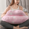 thumbnail image 2 of Almohada Cojin De Lactancia Para Bebé Amamantar Antirreflujo Xtellar rosa, 2 of 3