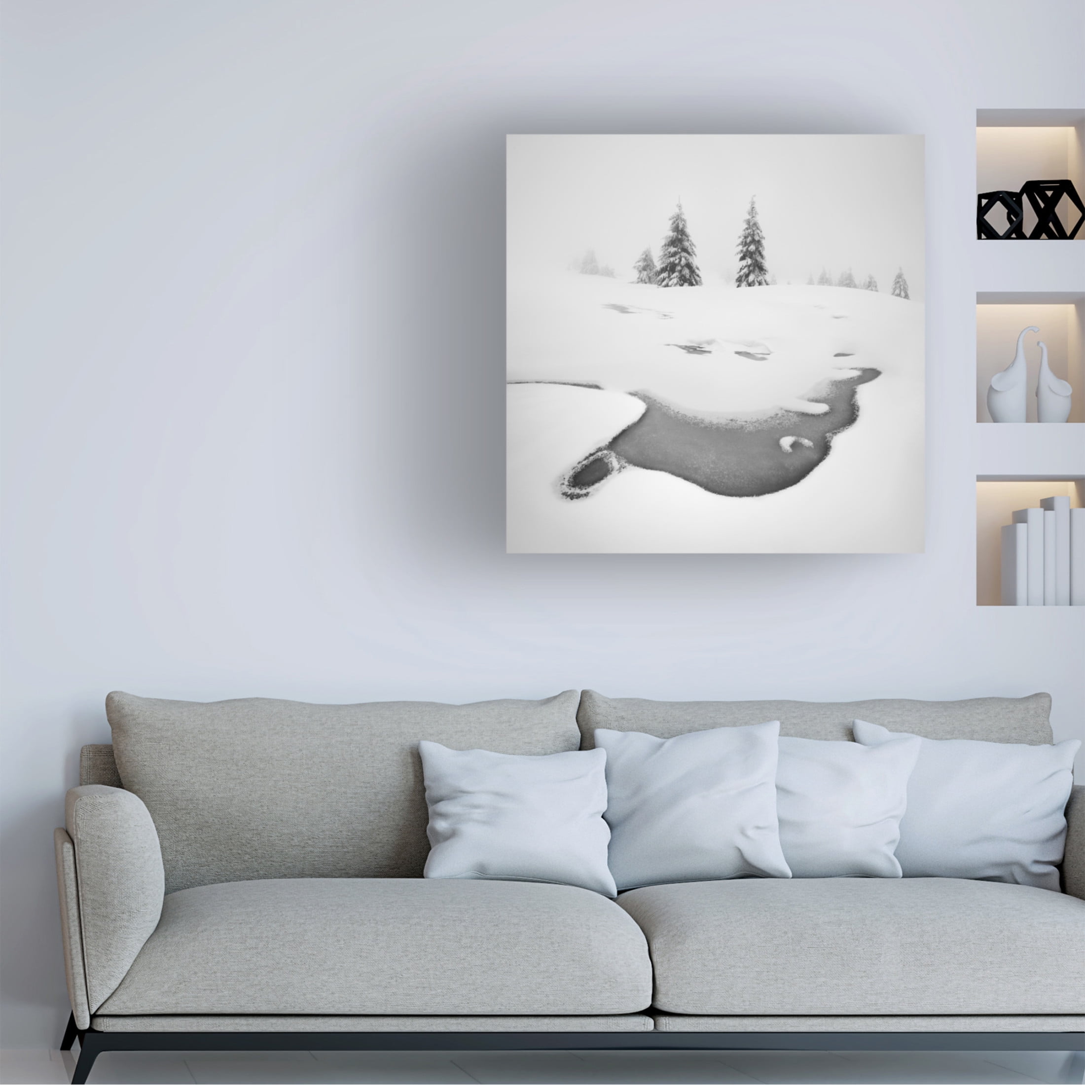 Canvas Wall Art - Daniel Rericha 'Frozen Swamps' Wall Art for Living Room, Bedroom, or Office D?cor by Trademark Fine Art - 24 x 24 Inches