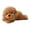 KhakiB, variant on The Adorable Puppy Toy for Indoor Outdoor Use Soft Comfort and Delightful Comfort Suitable for 3+ Kids Companion, 10.62 inch, Beige