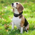 thumbnail image 4 of Luxtrada Automatic Anti Bark No Bark Collar Dog Stop Barking Training Collar Warning Beeper for Small Medium Large Dogs (Black), 4 of 10