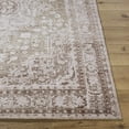 thumbnail image 3 of BoutiqueRugs Aninda Traditional, Transitional Area Rug - Taupe, Ivory, Dusty Rose - 2' x 3', 3 of 6