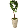 thumbnail image 1 of Modern Home 13" Real Preserved Boxwood Monogram Letters w/Terra Cotta Pot - D, 1 of 6