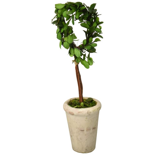 Modern Home 13" Real Preserved Boxwood Monogram Letters w/Terra Cotta Pot - D