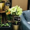 thumbnail image 3 of Wovilon Home Decor for Living Room Small Blackboard Plant and Flower Decoration Small Plug-In Bill Board Plug-In, 3 of 6