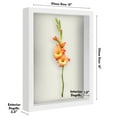 thumbnail image 4 of Americanflat 12x16 Shadow Box Frame with Polished Plexiglass Silhouette Collection Large Display Case - White, 4 of 8
