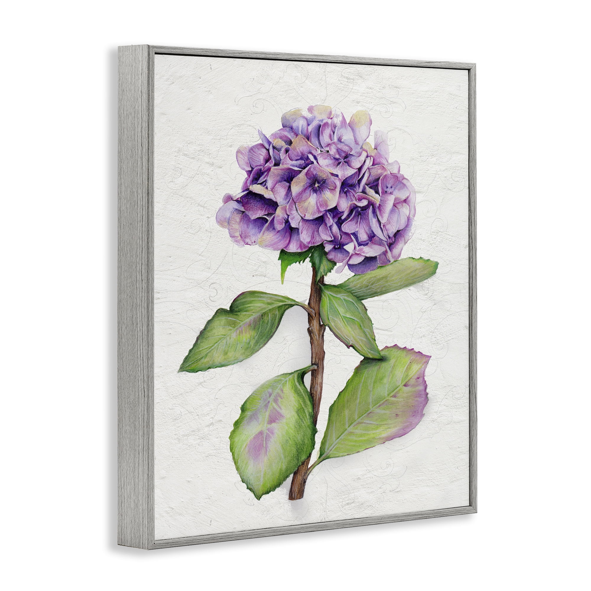 Stupell Industries European Style Hydrangea Botanical & Floral Painting Gray Framed Art Print Wall Art, 11 x 14