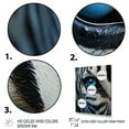 thumbnail image 3 of Designart "Eye Closeup Zebra I" Animals Floater Framed Canvas Wall Art, 3 of 7
