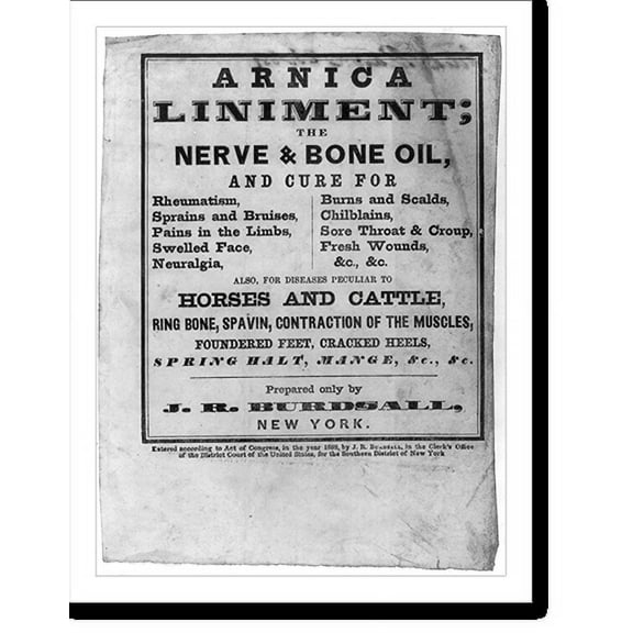 Historic Print, Arnica liniment, 16" x 20"