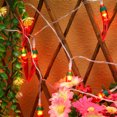 thumbnail image 1 of unbranded Luces De Cadena Rojas En Forma De Chili Impermeables Para Interior Y Exterior, 1 of 8