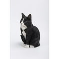thumbnail image 5 of Hi-Line Gift Ltd. Sitting Cat Statue, 5 of 5