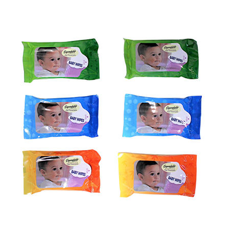 Travel Size Wet Wipes, 6 Count Resealable Packs, 10 Wipes Each – Dependable Industries