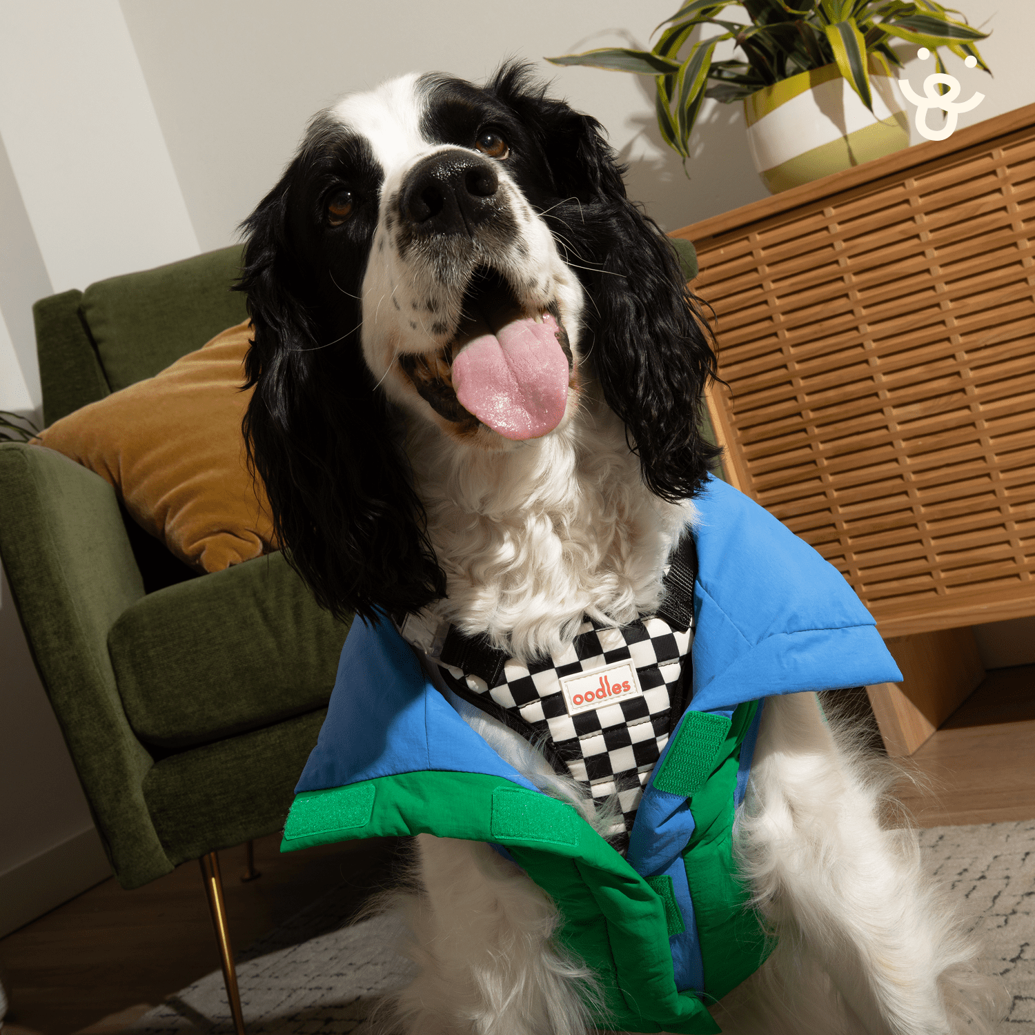 Oodles Green Quilted Puffer Bubble Hem Fall Dog Jacket, Large