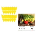 thumbnail image 4 of para moscas de de 12 Uds., planta adhesiva, s adhesivas de dos cara, áfidos no tóxicos, hongo, matamoscas para proteger Estilo 1 shamjiam Tablero Sticky Fly, 4 of 8