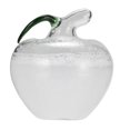 thumbnail image 4 of Weather Glass Weather Forecaster Weather decorative office Station Liquid Barometer Weather Predictor, 4 of 9